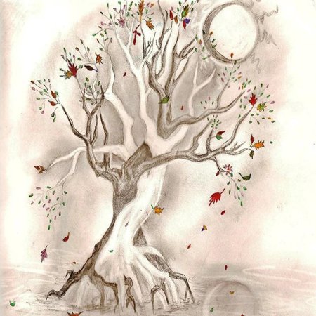 Дерево рисунок карандашом