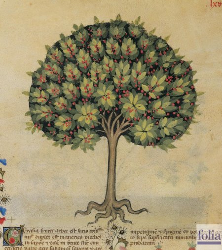 Дерево гравюра