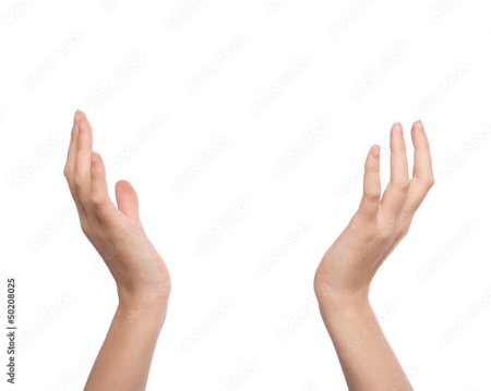 Ладонь сверху