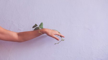 Растение в руках