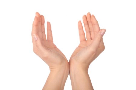 Раскрытая ладонь