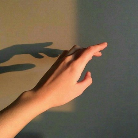 Рука эстетика