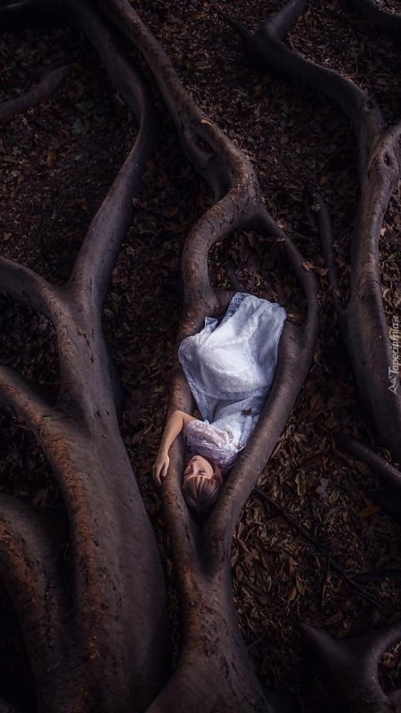 Девушка дерево