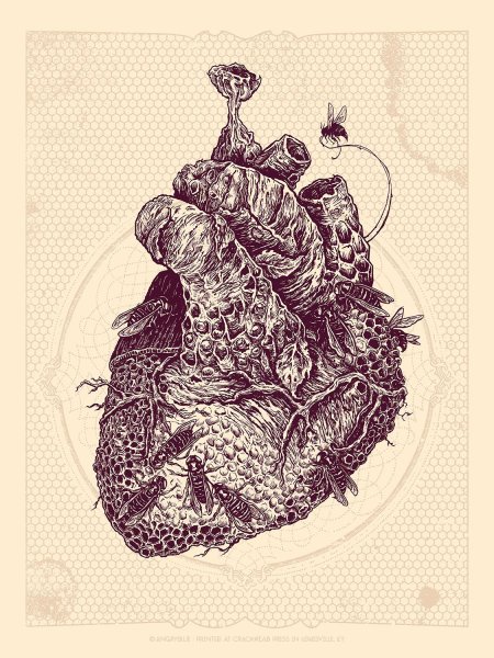 Человеческое сердце