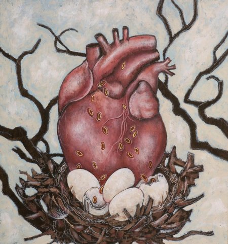 Человеческое сердце