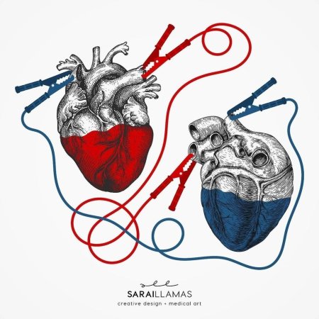 Сердце медицина