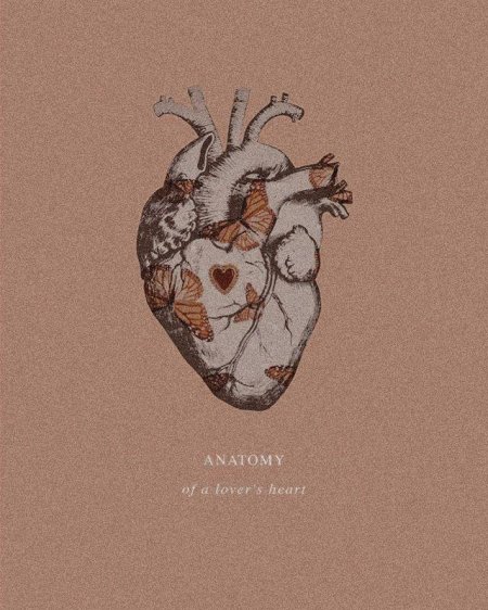 Человеческое сердце