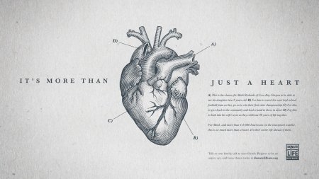 Сердца анатомия