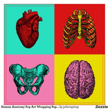 Поп арт анатомия