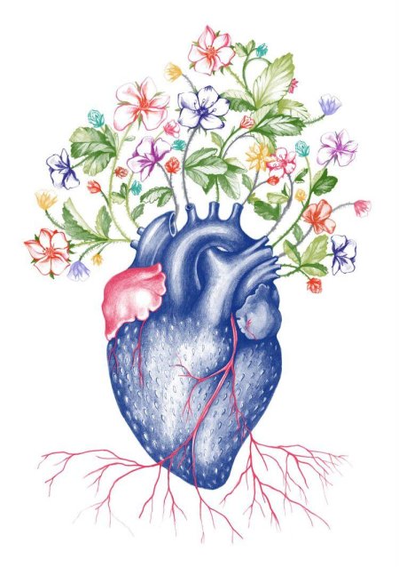 Сердце иллюстрация