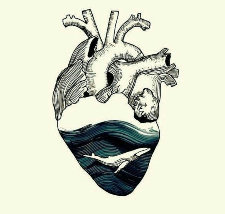 Эскиз сердца