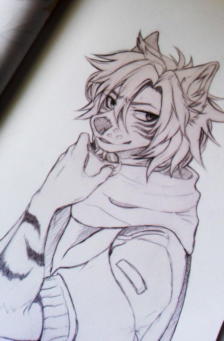 Рисунки фурри