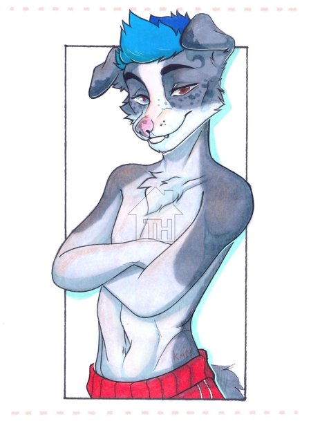 Фурри омега