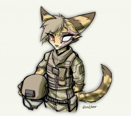 Фурри hunglee хлоя