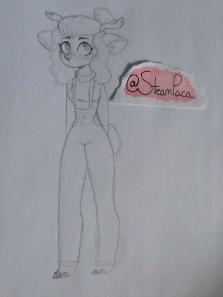 Скетчбук фурри