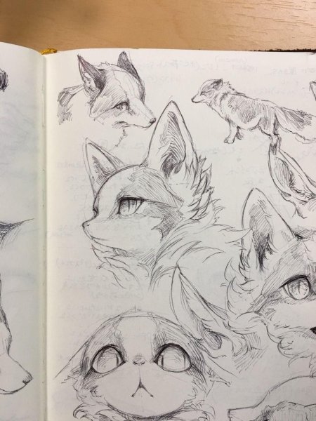 Коты скетчи