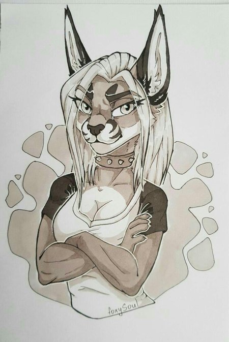 Фурри рысь николь