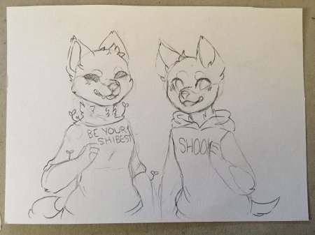 Фурри для рисования