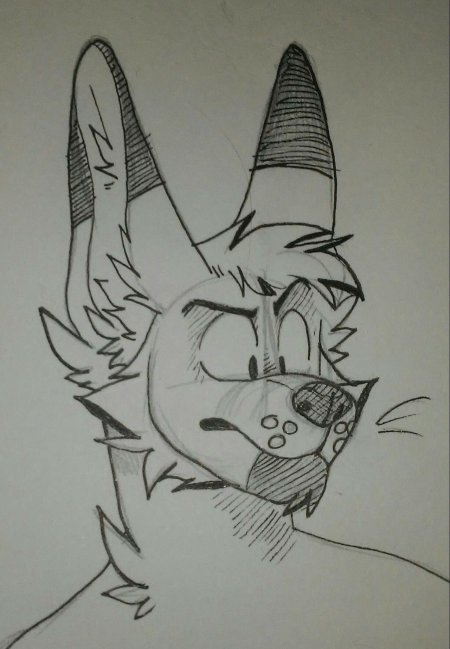 Фурри карандашом