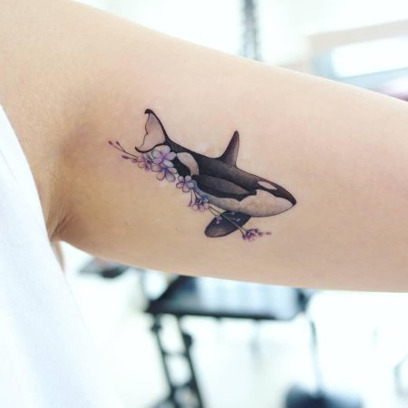 Тату косатка