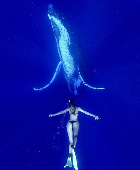 Девушка с китом