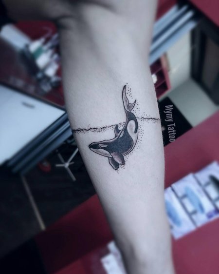 Тату касатка