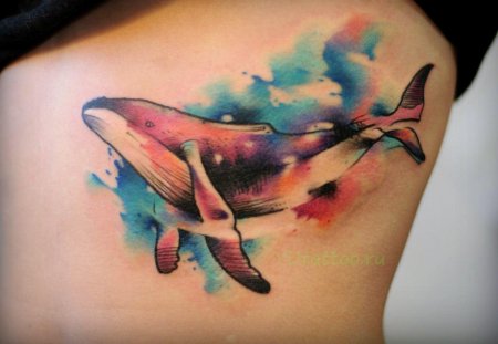 Тату кит акварель