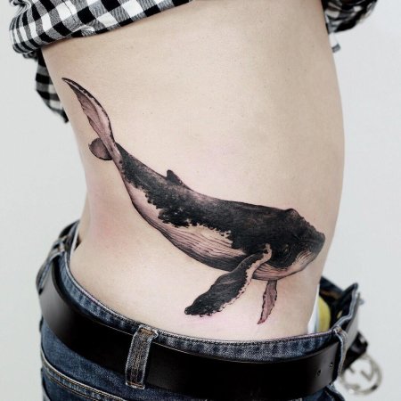 Касатка тату