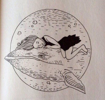 Кит иллюстрация