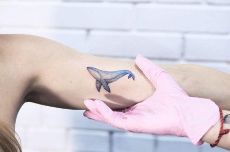 Дельфин тату