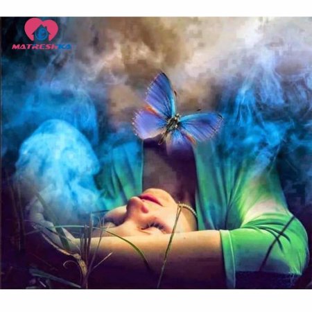 Бабочка картина