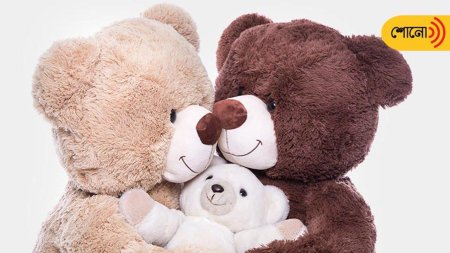 Мишки семья настоящие