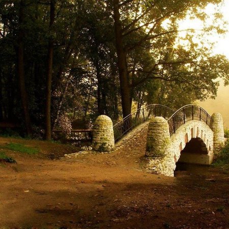 Парк кузьминки мост