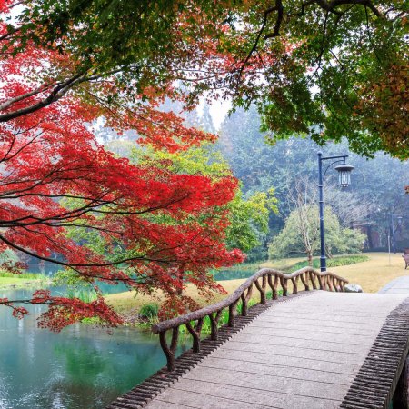 Осенний парк