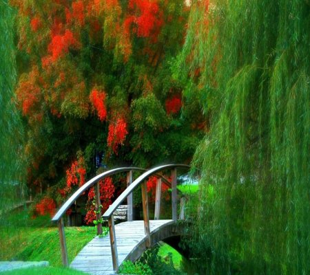 Красивые сады