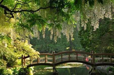 Парк красивый