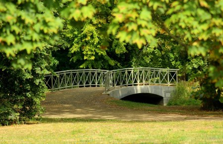 Михайловский парк пушкинские горы