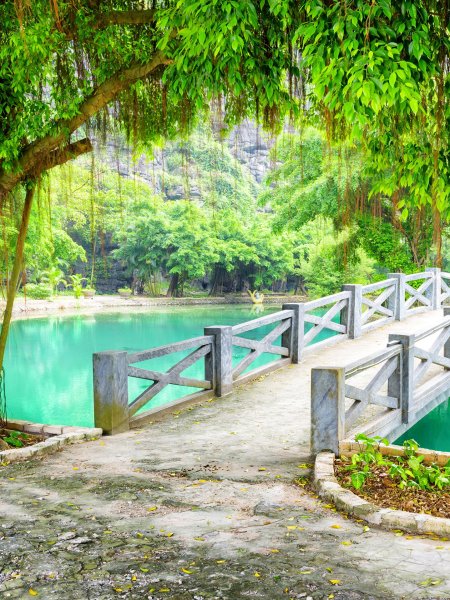 Мост с зеленью