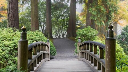 Фотообои мост в лесу