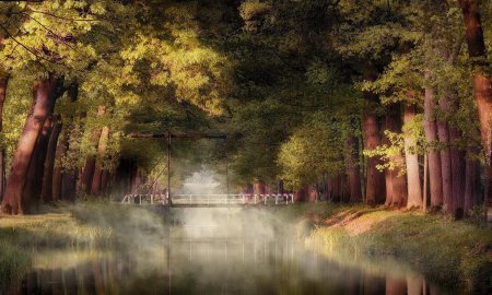 Пейзажи лес