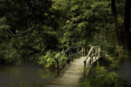 Мостики в парке на рабочий стол