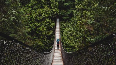 Lynn canyon suspension bridge