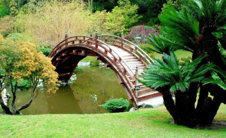 Япония речка мостик лес