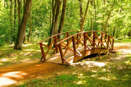 Мостик через ручей нижний парк липецк