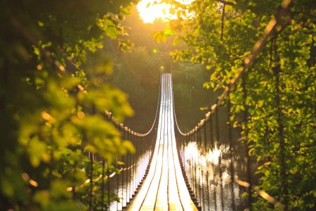 Подвесной мост в мостах