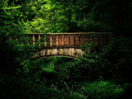 Шервудский лес каменный мост