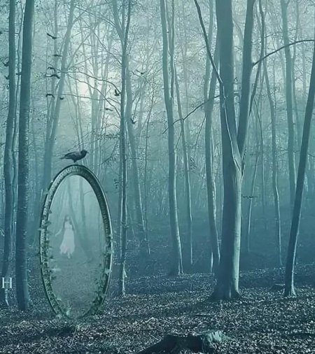 Зеркало в лесу