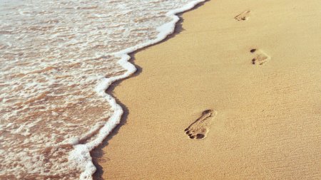 Footprint in the sand