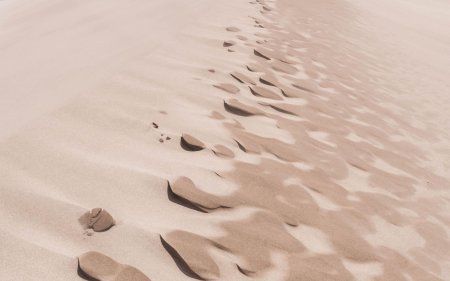 Дюна пустыня