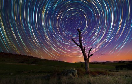 Линкольн харрисон